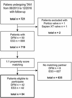 Direct Flow Medical vs. Edwards Sapien 3 Prosthesis: A Propensity Matched Comparison on Intermediate Safety and Mortality